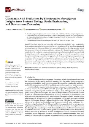 Clavulanic Acid Production by Streptomyces Clavuligerus: Insights from Systems Biology, Strain Engineering, and Downstream Processing