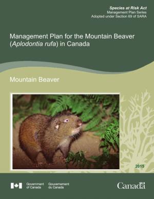 Mountain Beaver (Aplodontia Rufa) in Canada