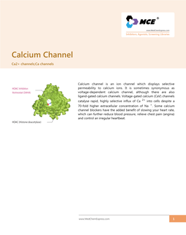 Calcium Channel Ca2+ Channels;Ca Channels