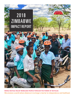 2018 Zimbabwe Impact Report