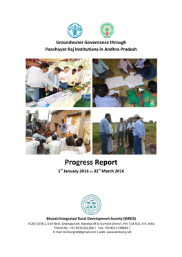 Progress Report St St 1 January 2016 to 31 March 2016