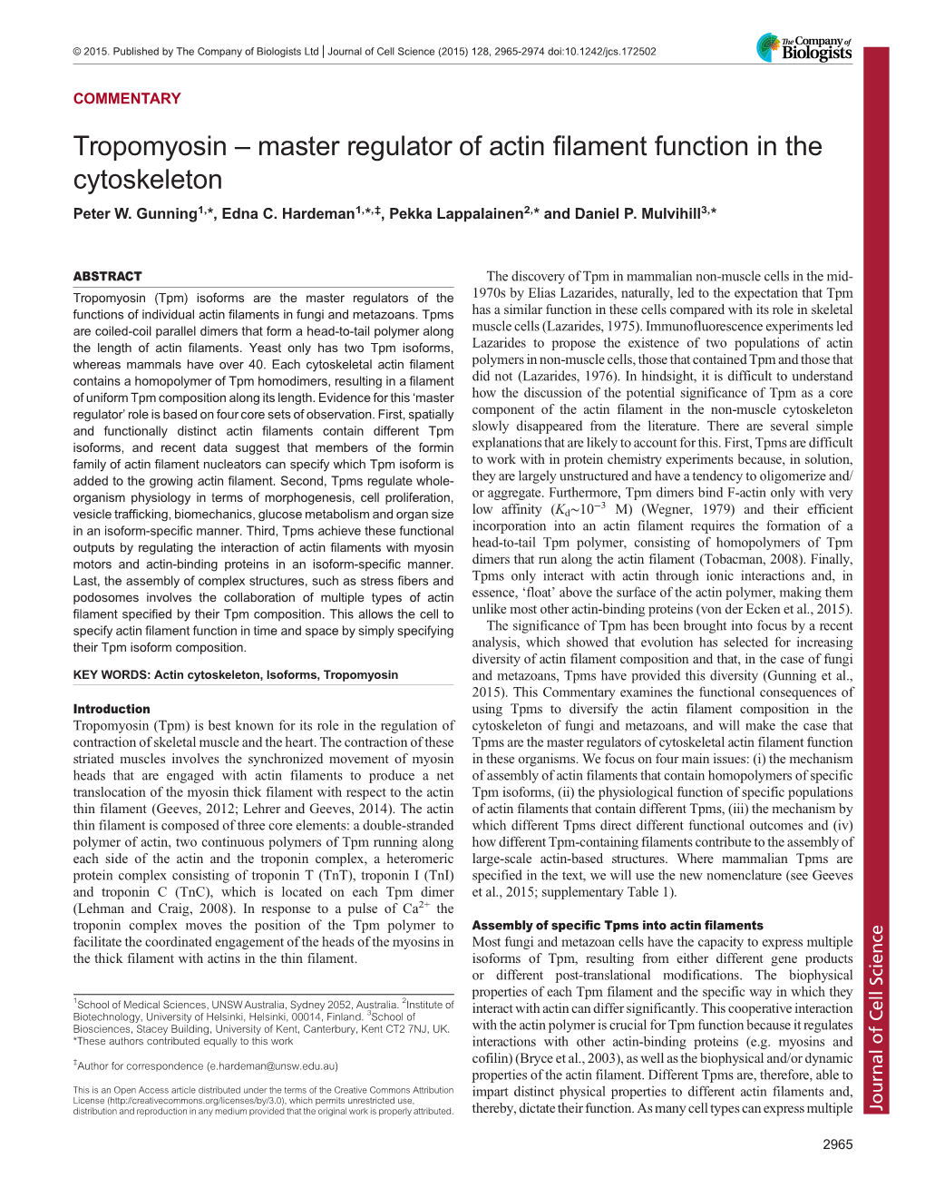 Master Regulator of Actin Filament Function in the Cytoskeleton Peter W