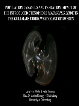 Population Dynamics and Predation Impact of the Introduced Ctenophore Mnemiopsis Leidyi in the Gullmars Fjord, West Coast of Sweden