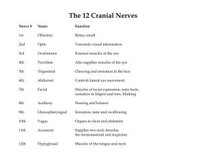 The 12 Cranial Nerves
