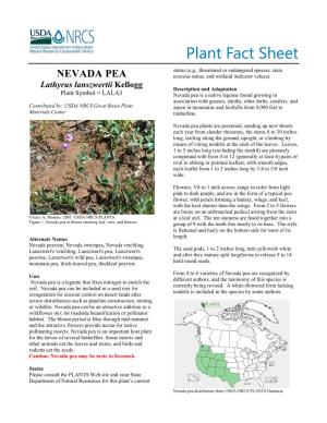 Plant Fact Sheet Lathyrus Lanszwertii