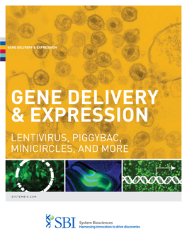 Gene Delivery & Expression