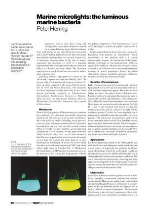 Marine Microlights: the Luminous Marine Bacteria Peter Herring