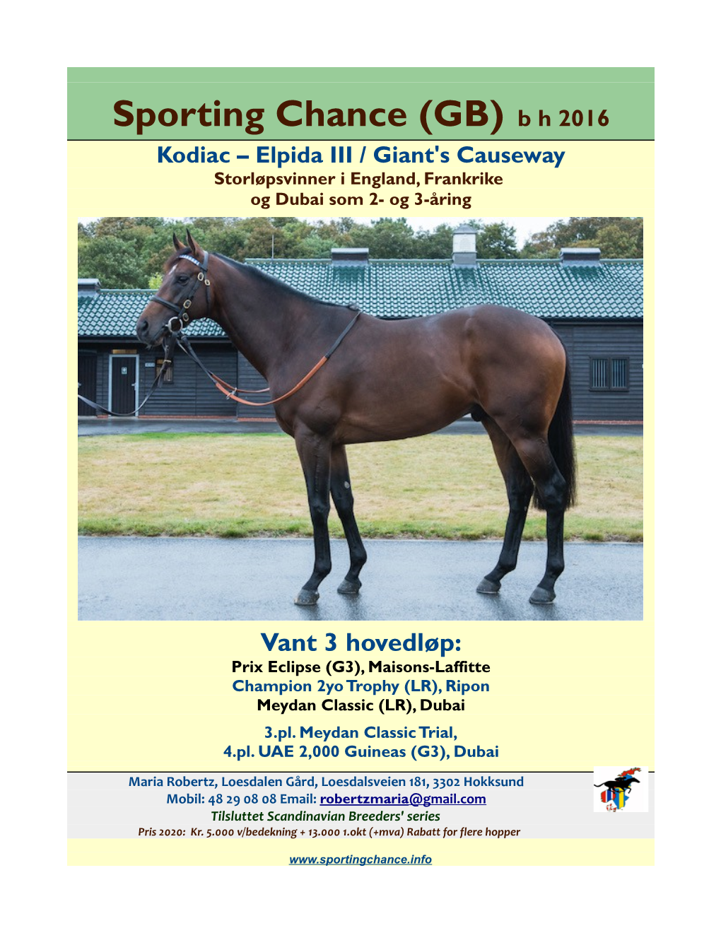 Sporting Chance (GB) B H 2016 Kodiac – Elpida III / Giant's Causeway Storløpsvinner I England, Frankrike Og Dubai Som 2- Og 3-Åring