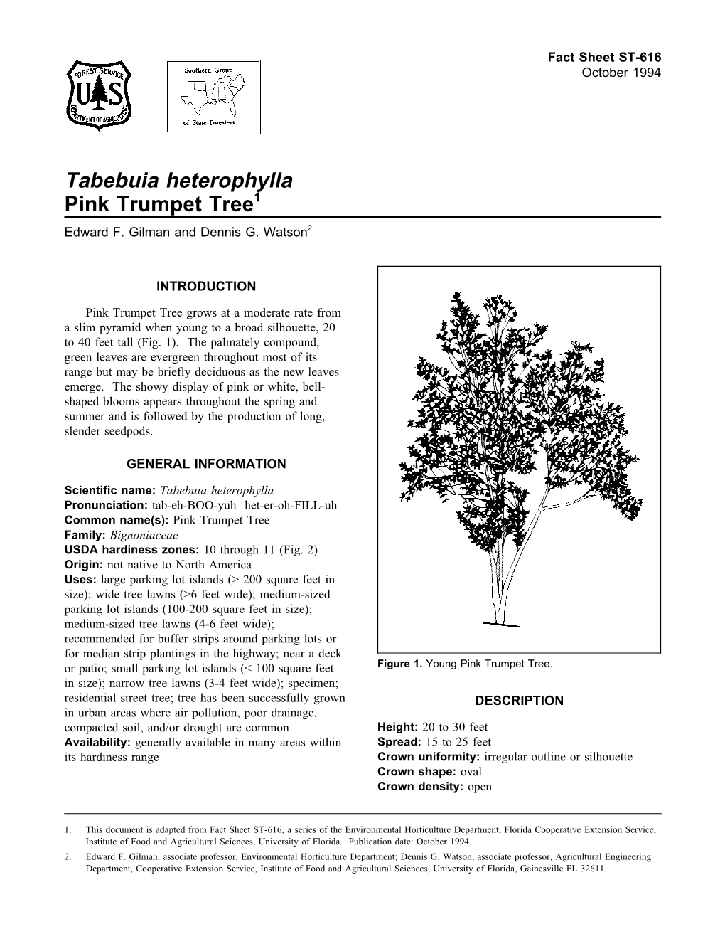 Tabebuia Heterophylla Pink Trumpet Tree1 Edward F