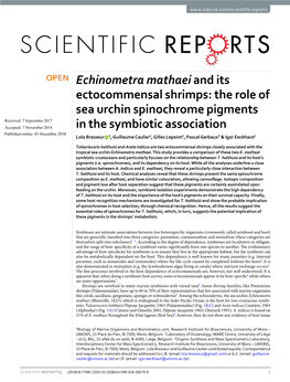 Echinometra Mathaei and Its Ectocommensal Shrimps: the Role Of