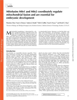 Mitofusins Mfn1 and Mfn2 Coordinately Regulate Mitochondrial Fusion And