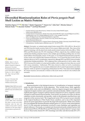 Diversified Biomineralization Roles of Pteria Penguin Pearl Shell Lectins