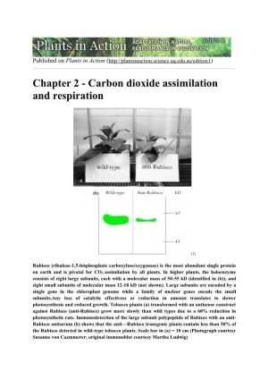 Chapter 2 - Carbon Dioxide Assimilation and Respiration