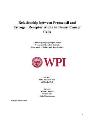 Relationship Between Promensil and Estrogen Receptor Alpha in Breast Cancer Cells