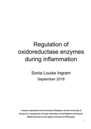Regulation of Oxidoreductase Enzymes During Inflammation