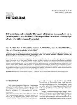 Ultrastructure and Molecular Phylogeny of Mrazekia Macrocyclopis Sp