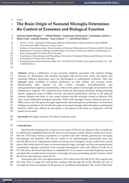 The Brain Origin of Neonatal Microglia Determines the Content of Exosomes and Biological Function