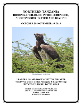 Northern Tanzania Birding & Wildlife in the Serengeti, Ngorongoro Crater and Beyond