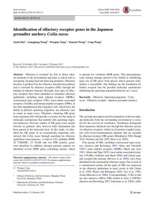 Identification of Olfactory Receptor Genes in the Japanese Grenadier Anchovy Coilia Nasus