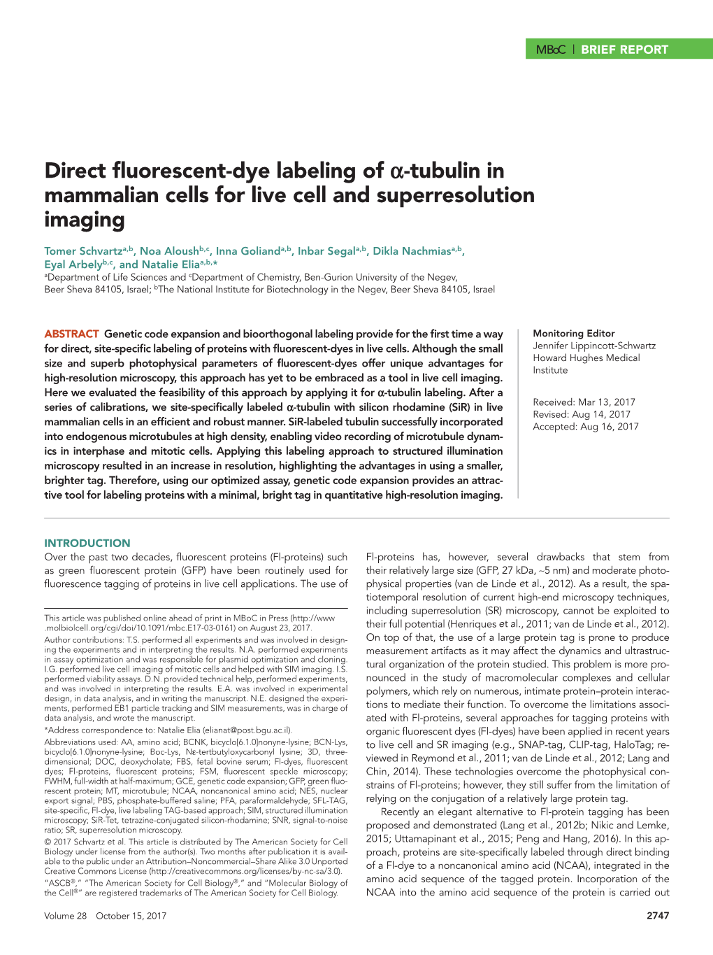 Direct Fluorescent-Dye Labeling of Α-Tubulin in Mammalian Cells for Live