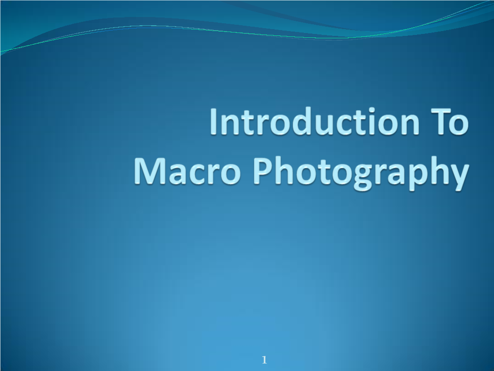 Introduction to Macro Photography