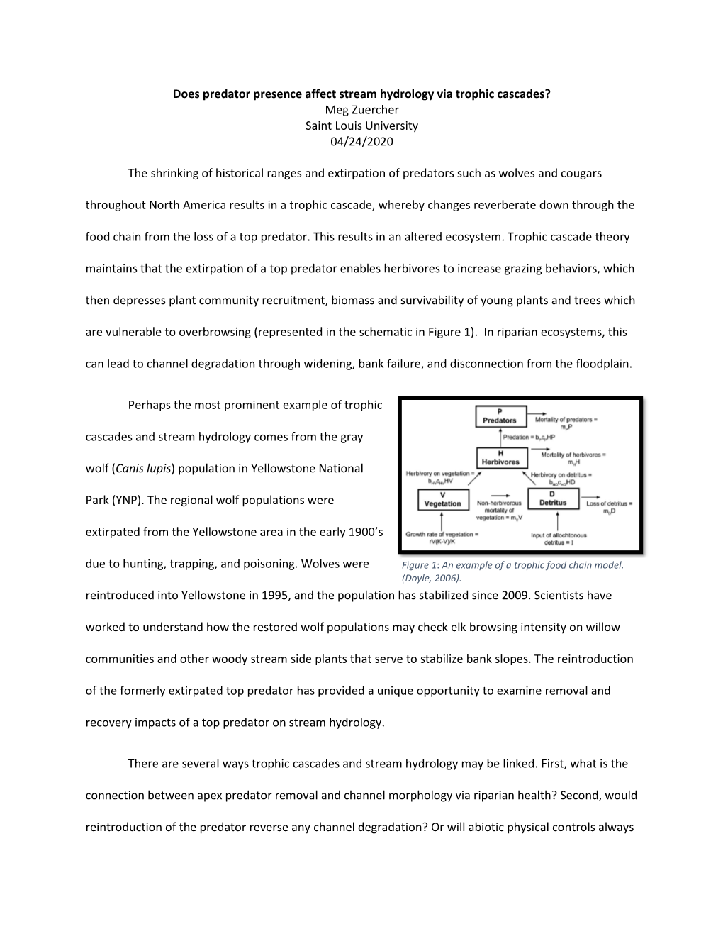 Does Predator Presence Affect Stream Hydrology Via Trophic Cascades? Meg Zuercher Saint Louis University 04/24/2020