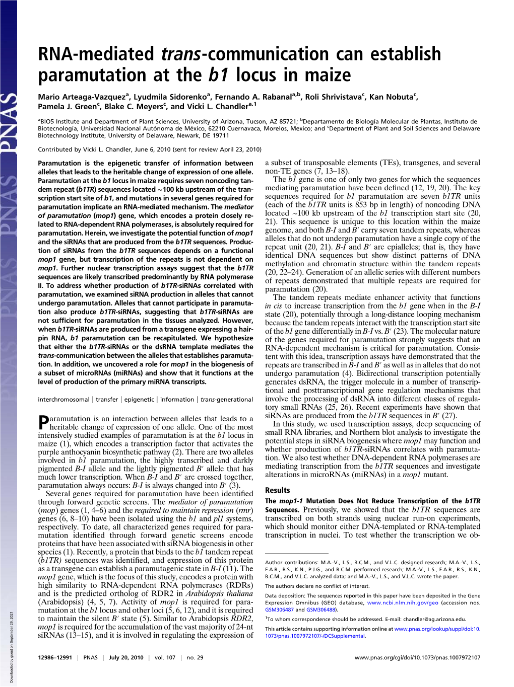 RNA-Mediated Trans-Communication Can Establish Paramutation at the B1 Locus in Maize