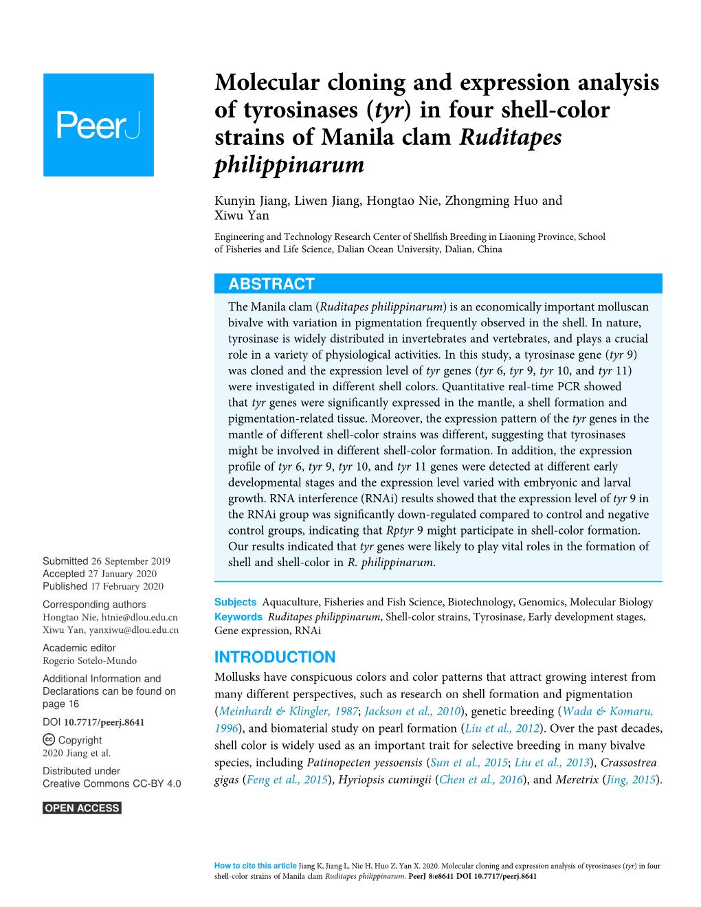 In Four Shell-Color Strains of Manila Clam Ruditapes Philippinarum