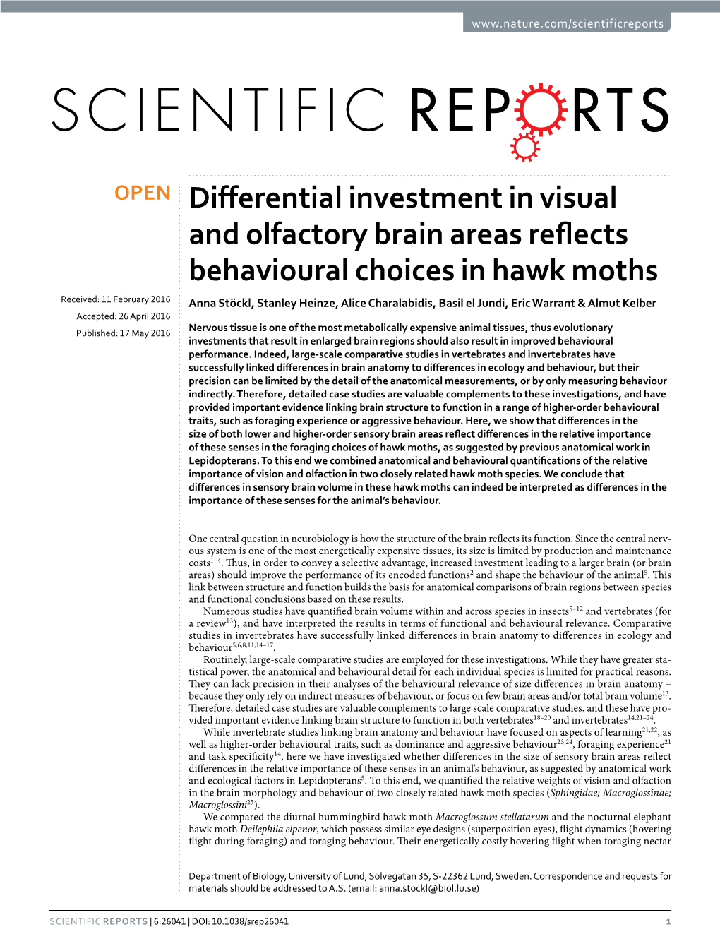 Differential Investment in Visual and Olfactory Brain Areas Reflects Behavioural Choices in Hawk Moths