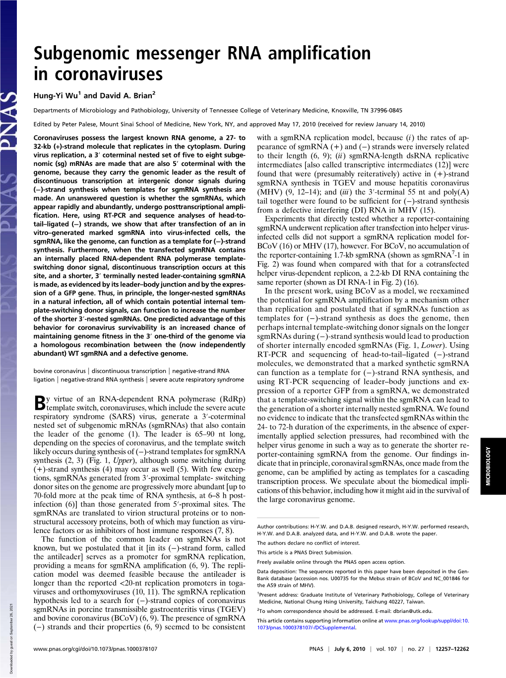 Subgenomic Messenger RNA Amplification in Coronaviruses