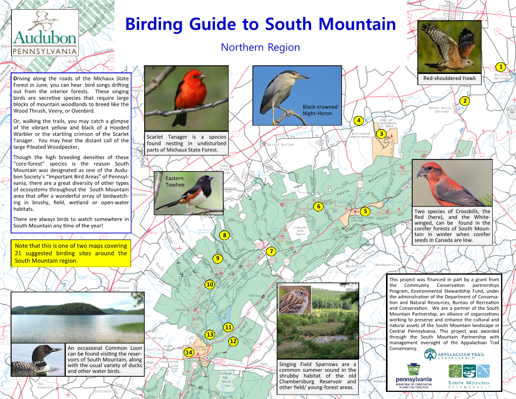 Birding Guide to South Mountain Northern Region