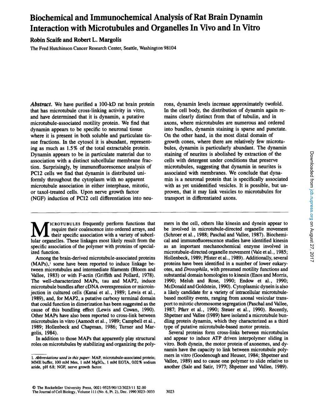 Biochemical and Immunochemical Analysis of Rat Brain Dynamin Interaction with Microtubules and Organelles in Vivo and in Vitro Robin Scaife and Robert L