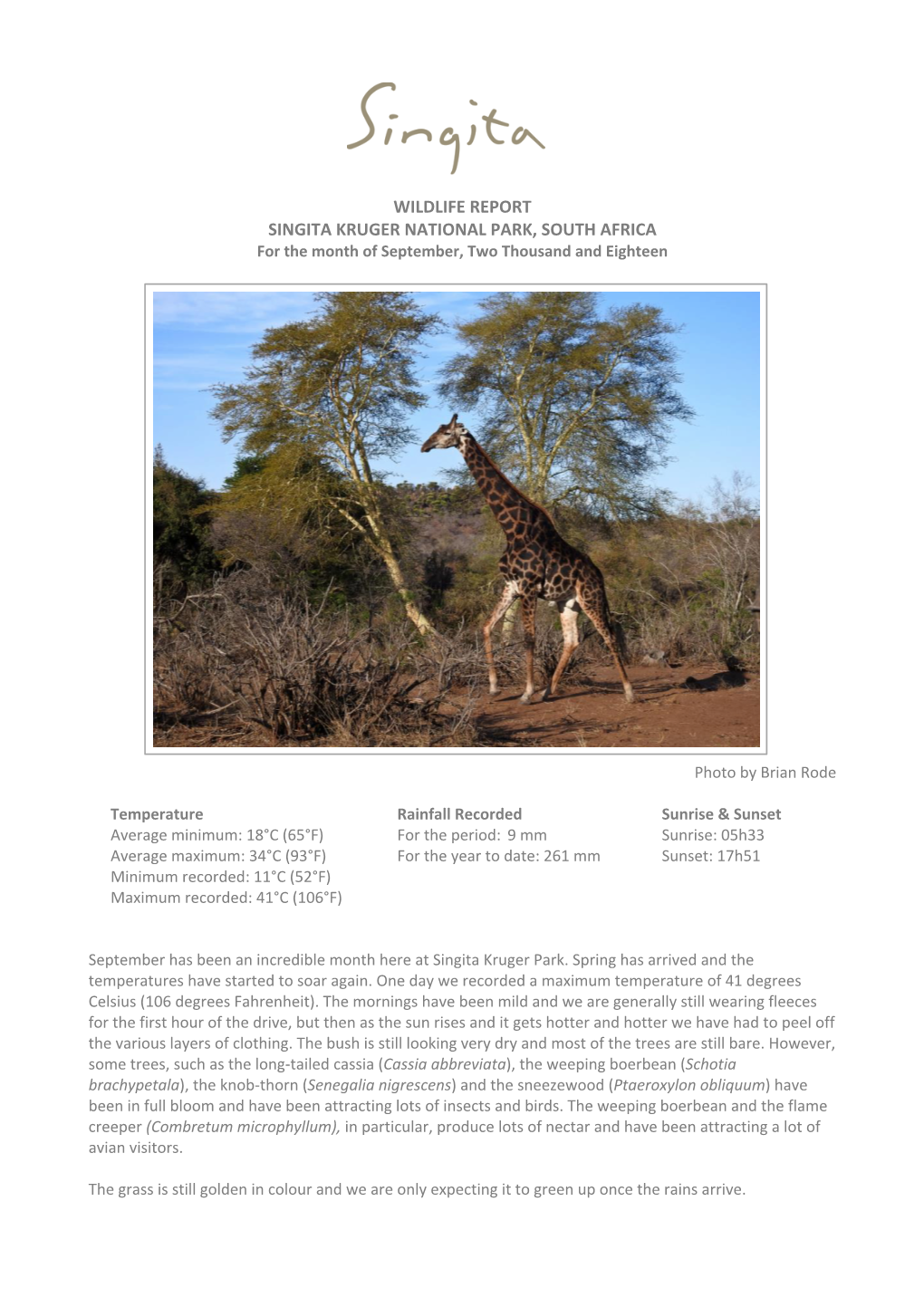 WILDLIFE REPORT SINGITA KRUGER NATIONAL PARK, SOUTH AFRICA for the Month of September, Two Thousand and Eighteen