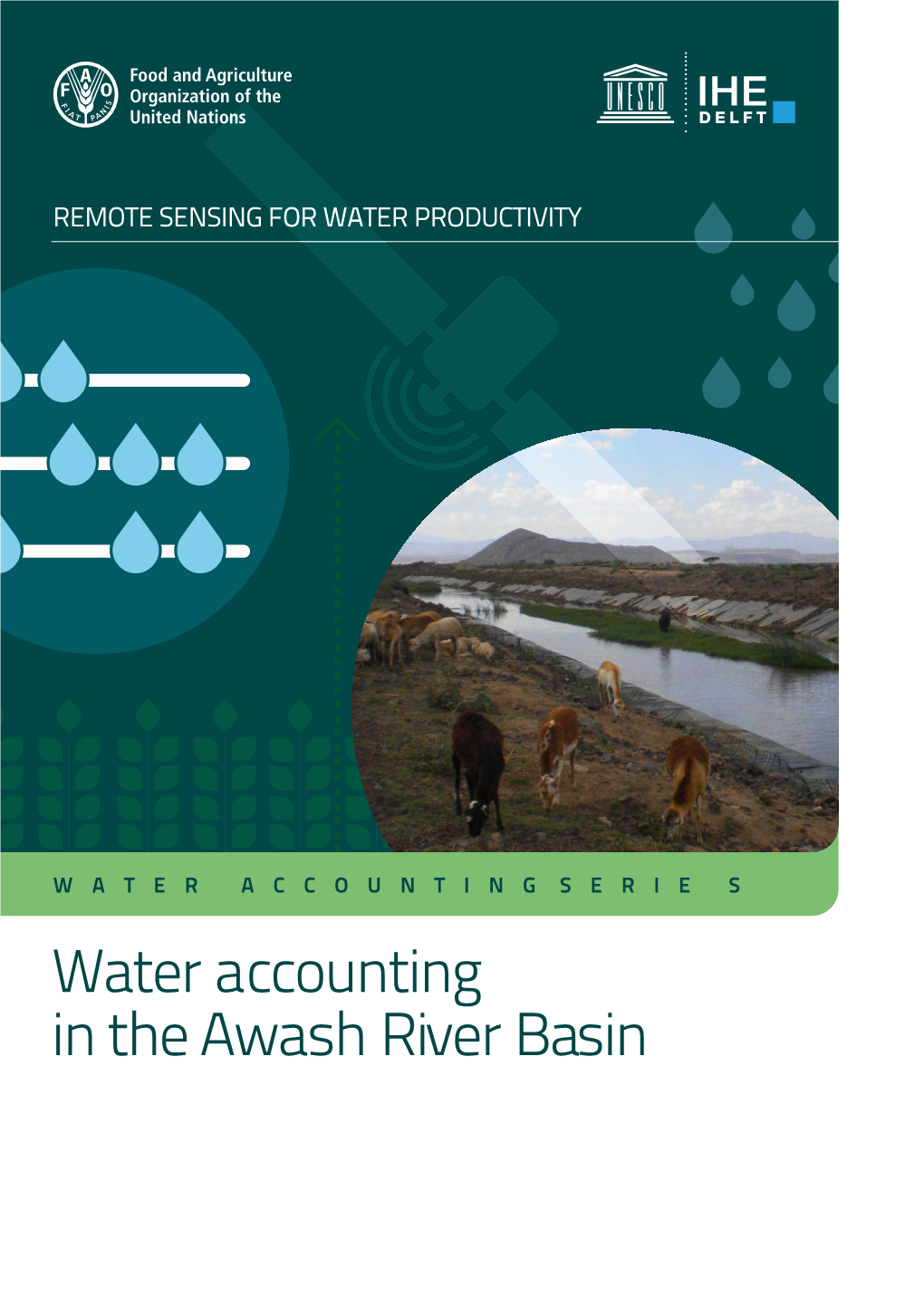 Water Accounting in the Awash River Basin