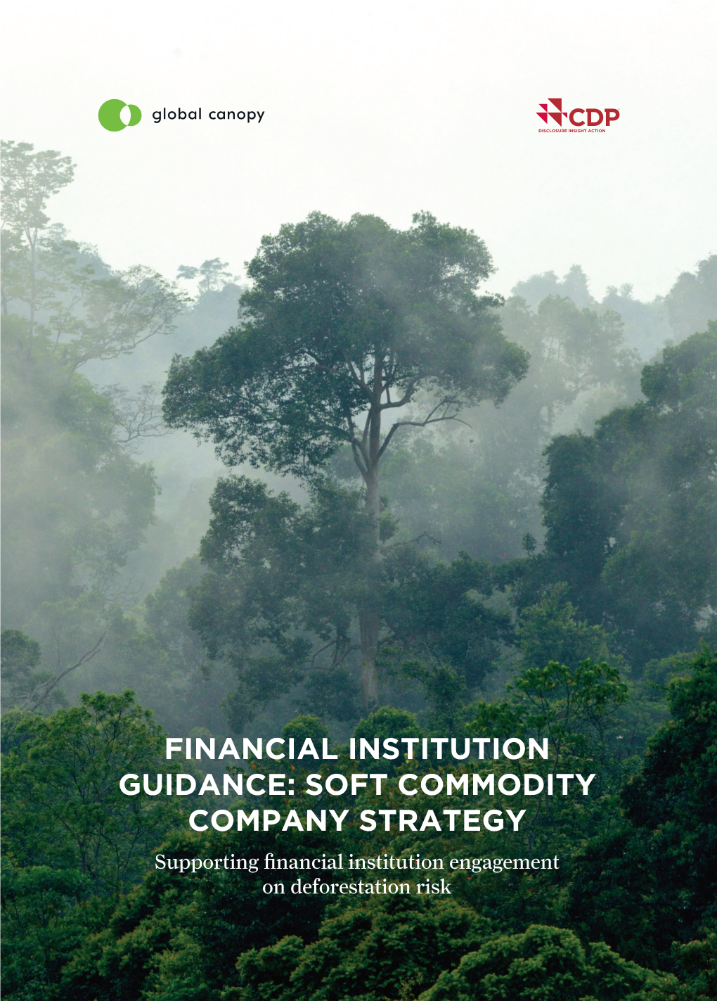 Financial Institution Guidance: Soft Commodity Company