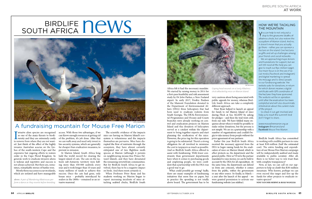 Birdlife South Africa News