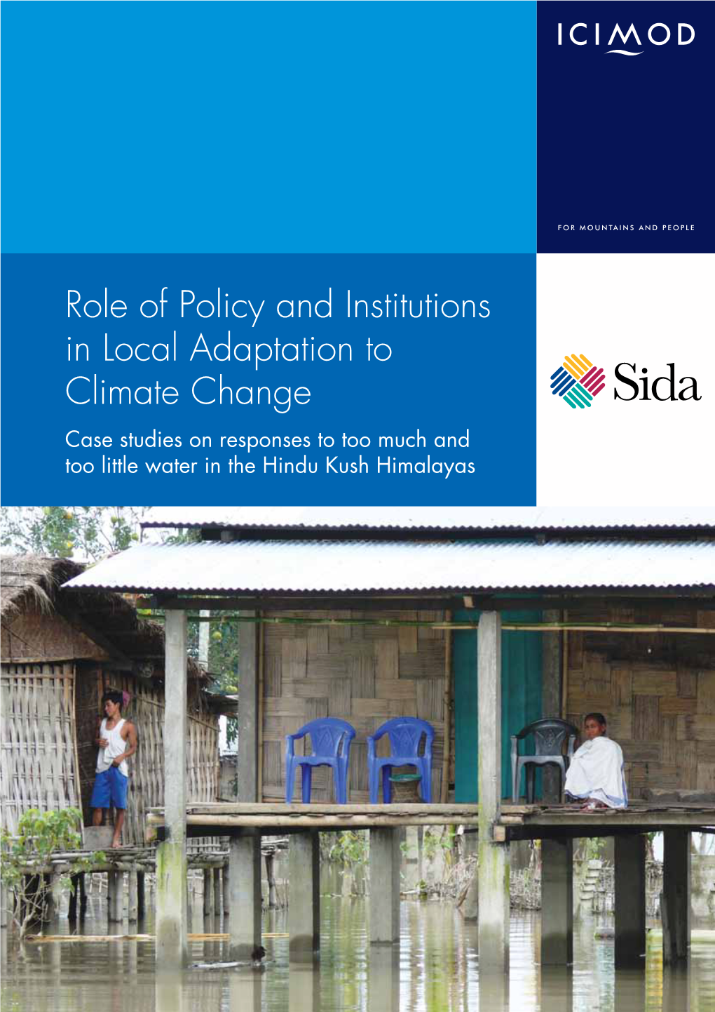 Role of Policy and Institutions in Local Adaptation to Climate Change