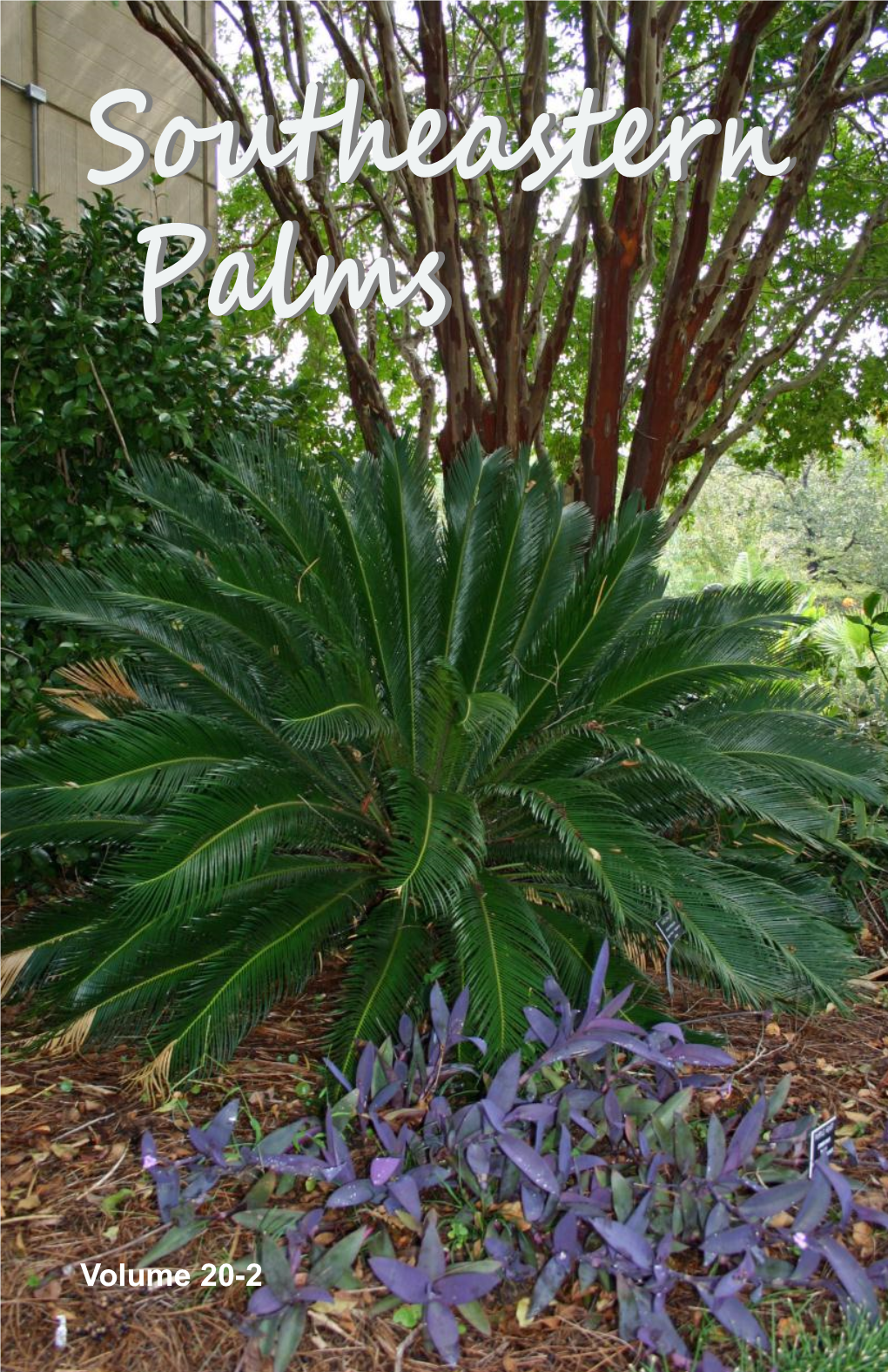 Southeastern Palmspalms