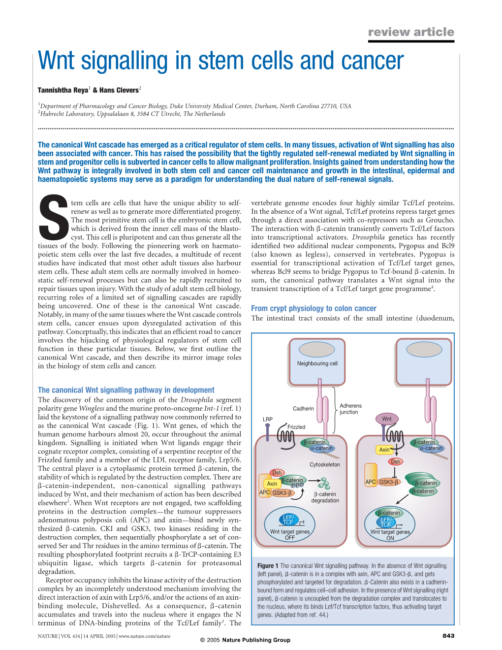 Wnt Signalling in Stem Cells and Cancer