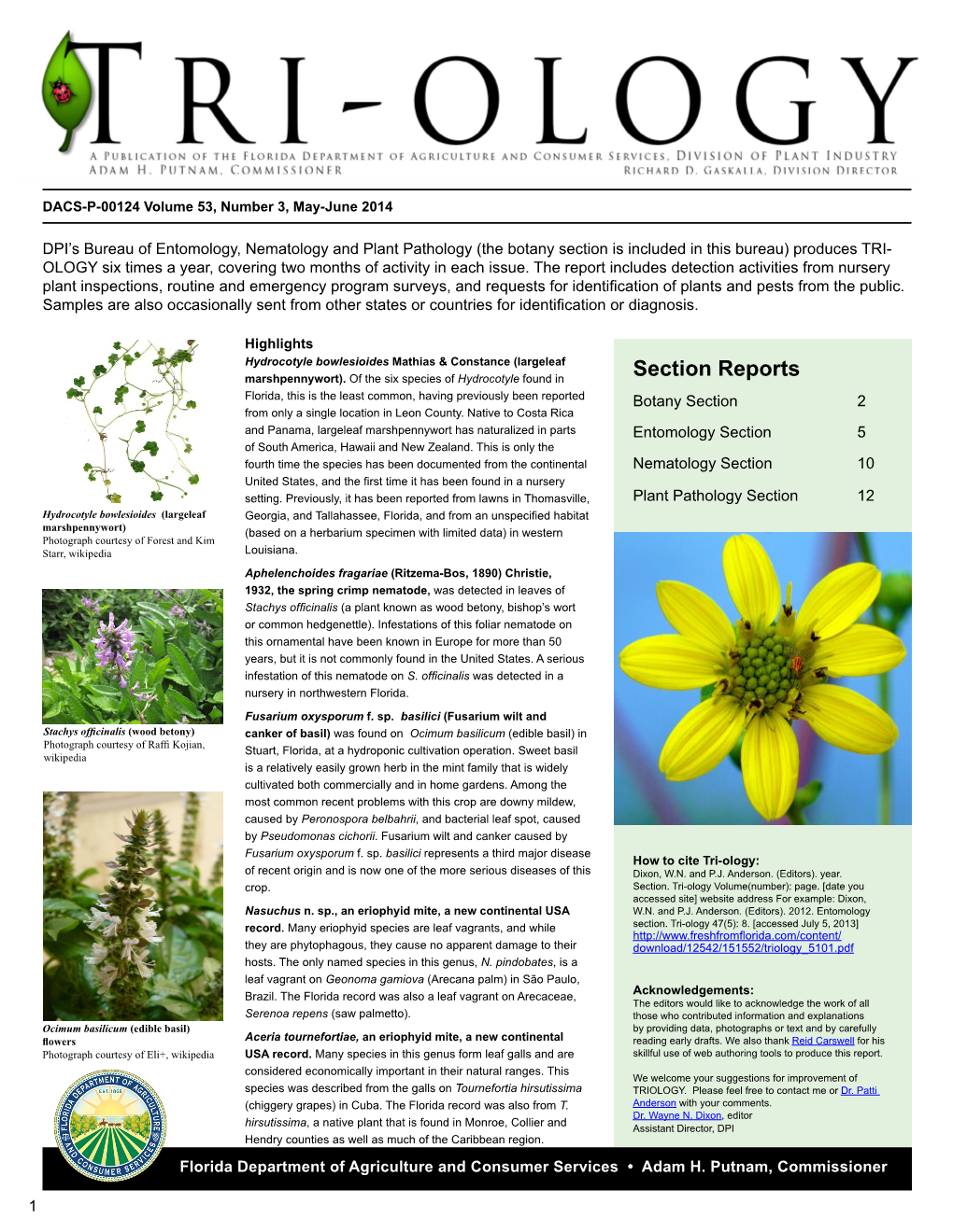 Section Reports Florida, This Is the Least Common, Having Previously Been Reported Botany Section 2 from Only a Single Location in Leon County