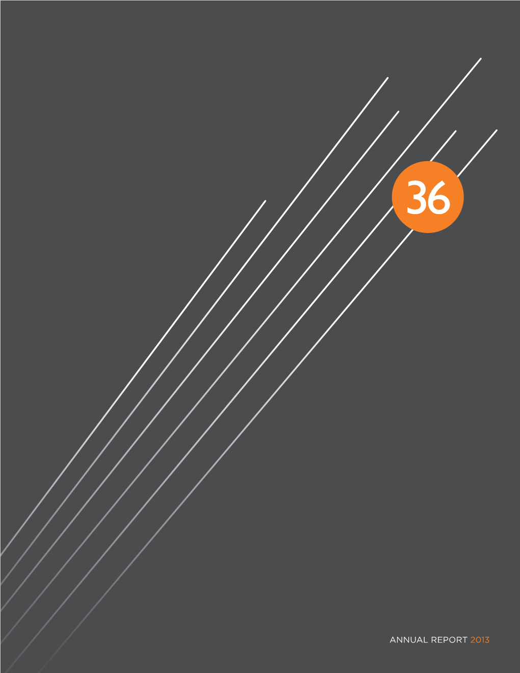 2013-N36-Annual-Report.Pdf