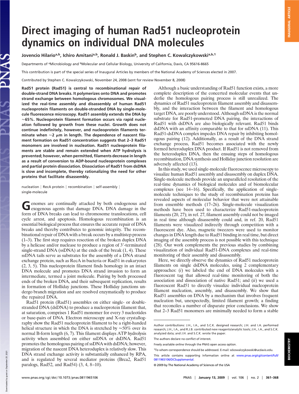 Direct Imaging of Human Rad51 Nucleoprotein Dynamics On