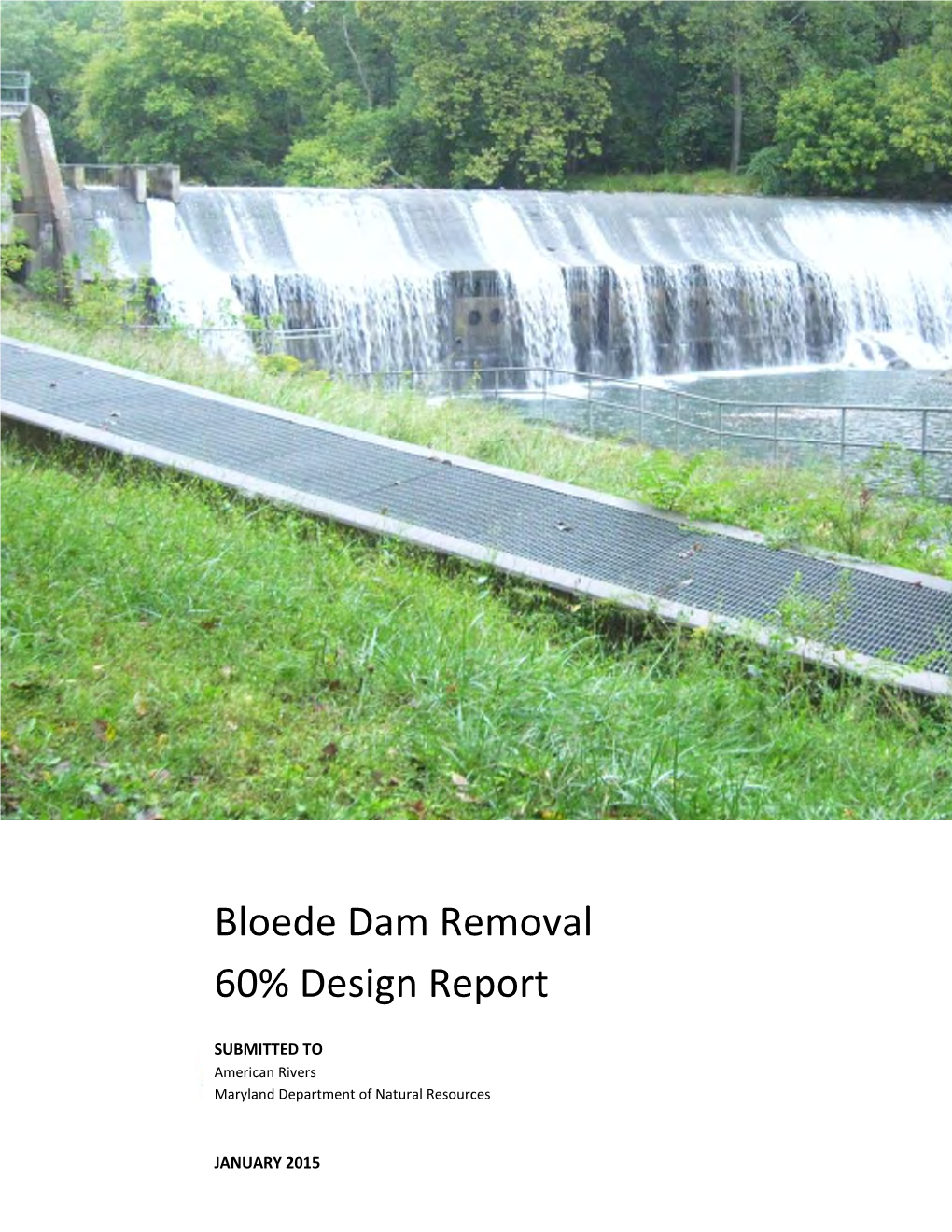 Bloede Dam Removal 60% Design Report