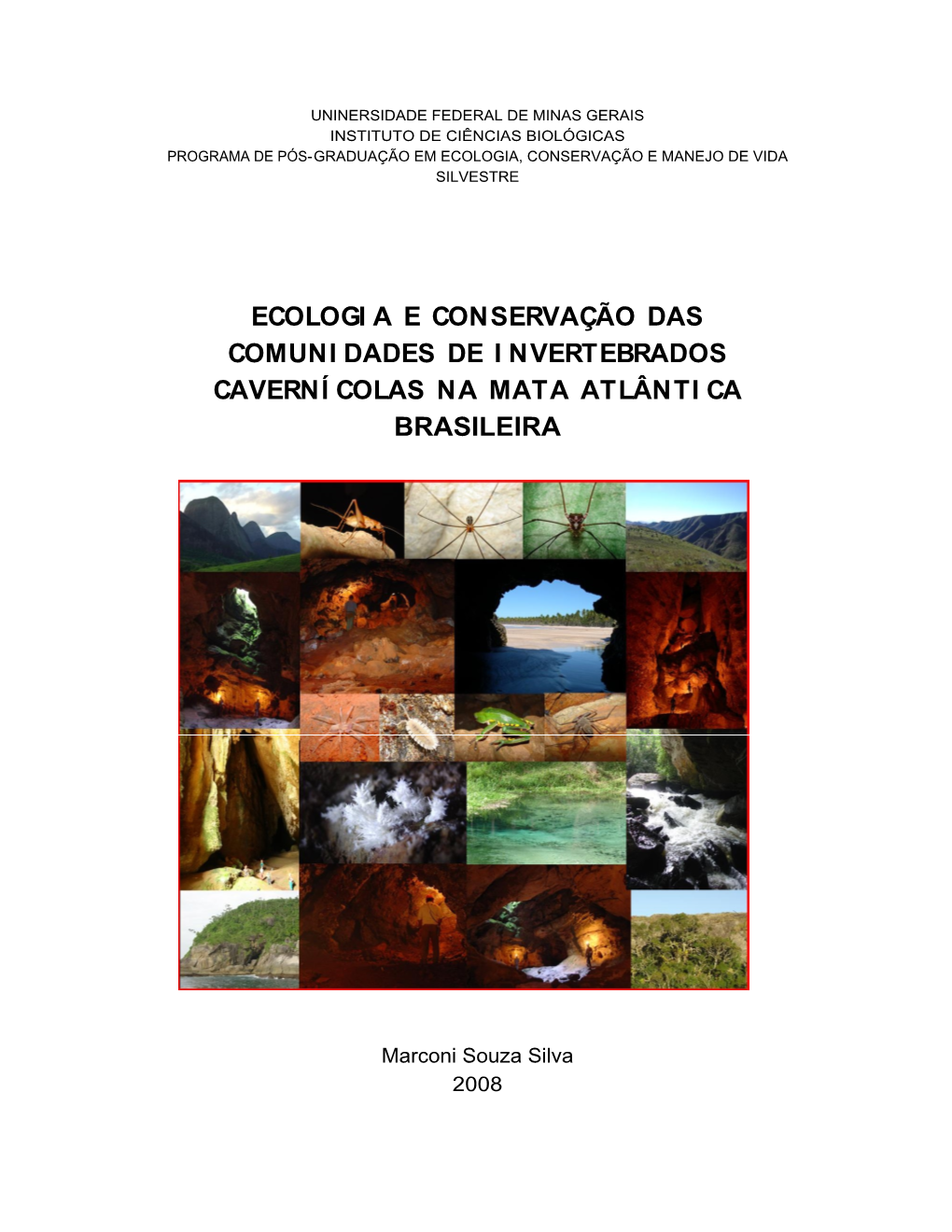 Ecologi a E Conservação Das Comuni Dades De I Nvertebrados Caverní Colas Na Mata Atlânti Ca Brasileira