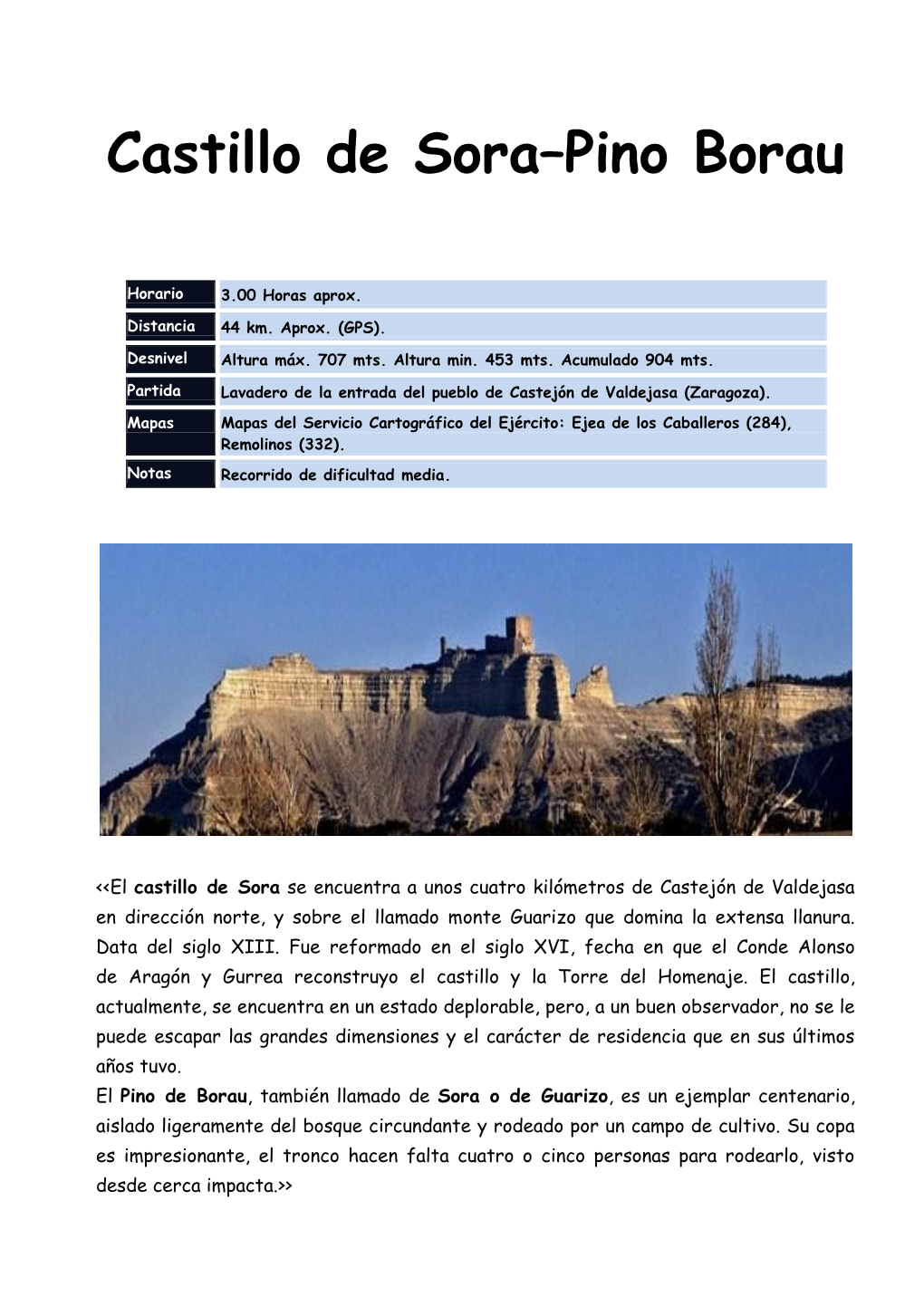 Castillo De Sora–Pino Borau