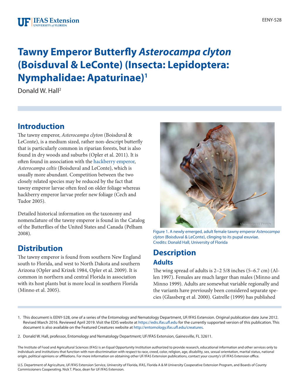 Tawny Emperor Butterfly Asterocampa Clyton (Boisduval & Leconte) (Insecta: Lepidoptera: Nymphalidae: Apaturinae)1