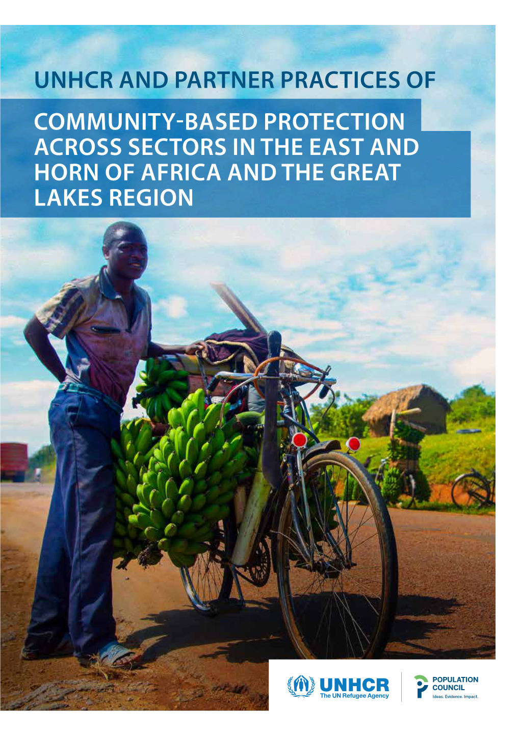 Unhcr and Partner Practices of Community-Based Protection Across Sectors in the East and Horn of Africa and the Great Lakes Regi