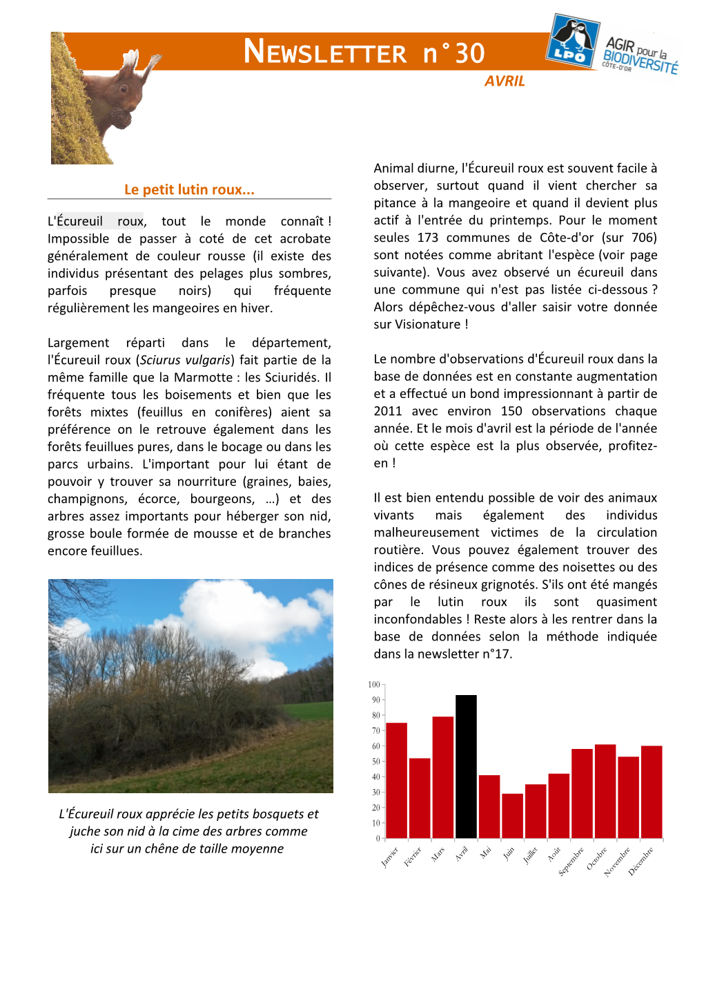 NEWSLETTER N°30 AVRIL