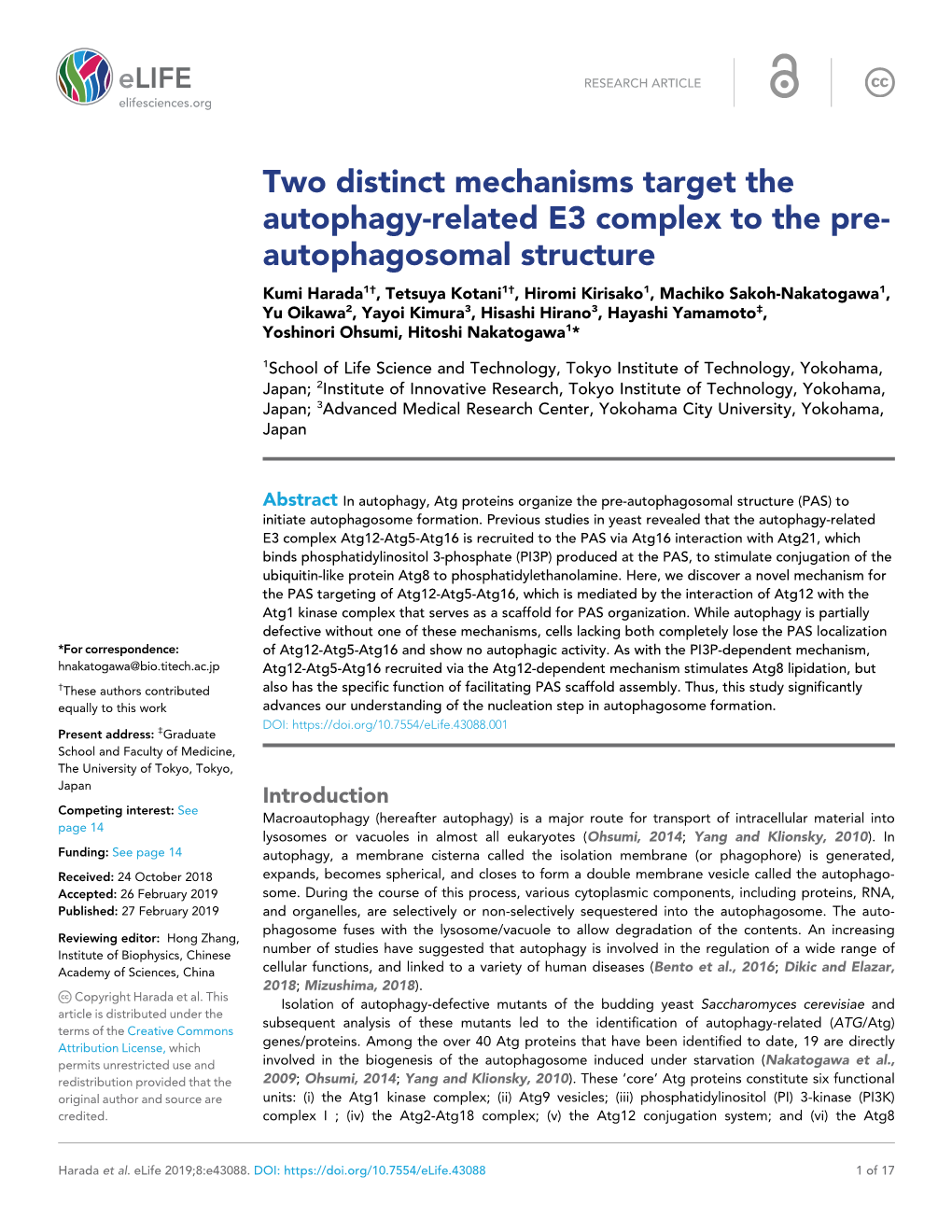 Two Distinct Mechanisms Target the Autophagy-Related E3