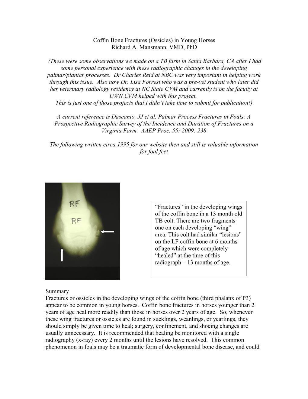 Coffin Bone Fractures (Ossicles) in Young Hroses